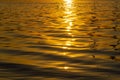 Beautiful sunset over the river. The solar path on the surface of the water. Reflection of the setting sun