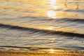 Beautiful sunset over the river. The solar path on the water surface. Reflection of the setting sun. Selective focus Royalty Free Stock Photo