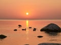 Beautiful sunset over rocky shore of sea with silhouettes of stones and birds Royalty Free Stock Photo