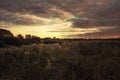 Beautiful sunset over rural field with dramatic orange sky and trees on horizon during hunting Royalty Free Stock Photo