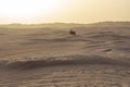 Beautiful sunset over Sahara desert in Douz, Tunisia. Sand and dunes against sky Royalty Free Stock Photo