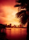 San Diego California sunset skyline palms Royalty Free Stock Photo