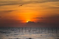 Beautiful sunset over sea coast Royalty Free Stock Photo