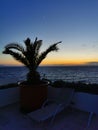 Beautiful sunset over the sea. Palm tree in the evening. Kusadasi, Turkey. Royalty Free Stock Photo