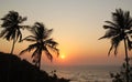 Beautiful sunset over the sea and silhouette of palm trees in Goa, India. Royalty Free Stock Photo