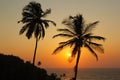 Beautiful sunset over the sea and silhouette of palm trees in Goa, India. Royalty Free Stock Photo