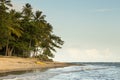 Beautiful sunset over the sea with a view at palms on the beach Royalty Free Stock Photo