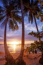 Beautiful sunset over the sea with a view at palms Royalty Free Stock Photo