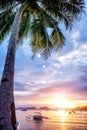 Beautiful sunset over the sea with a view at palms Royalty Free Stock Photo