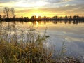 Beautiful sunset over a tranquil lake with reed in the foreground Royalty Free Stock Photo
