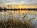 Beautiful sunset over a tranquil lake with reed in the foreground Royalty Free Stock Photo