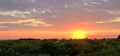 Beautiful sunset over vineyard, Austria Royalty Free Stock Photo