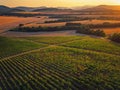 Beautiful Sunset over vineyard in Europe, aerial view Royalty Free Stock Photo