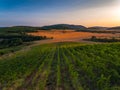 Beautiful Sunset over vineyard in Europe, aerial view Royalty Free Stock Photo