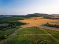Beautiful Sunset over vineyard fields in Europe, aerial view