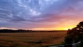 Beautiful sunset over a wheat field