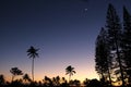 beautiful sunset and palm trees in Hawaii Royalty Free Stock Photo