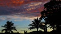 Cloudly colorfull sunset with palms in a blue sky. Orange and red colors