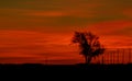 Sunset in Carlos Ameghino isthmus, Peninsula Valdes, Chubut , Argentina Royalty Free Stock Photo