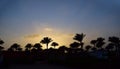 beautiful sunset rays over the tops of palm trees Royalty Free Stock Photo