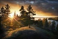 Beautiful sunset rays of sun with clear nordic nature, pine tree on rocks in North Europe, Baltic sea, gulf of Finland Royalty Free Stock Photo