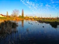 Sunset over a small lake with ducks in a park, close to apartment buildings Royalty Free Stock Photo