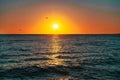 Beautiful sunset reflecting on a sea with seagulls flying above the waves Royalty Free Stock Photo