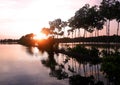 Beautiful sunset with reflection mangroves on the water at fish pond Royalty Free Stock Photo