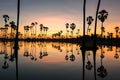 Beautiful sunset reflection of silhouettes Palm tree Royalty Free Stock Photo