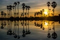Beautiful sunset silhouettes Palm tree Royalty Free Stock Photo