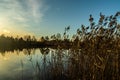 Beautiful sunset on river Kymijoki at autumn, Finland Royalty Free Stock Photo