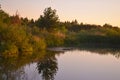 Beautiful sunset river landscape. Shady pond with summer grass, meadow flowers, algae. Water reflections. Summer day Royalty Free Stock Photo