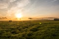 Beautiful sunset in rural landscape with sun rays shining through the morning fog Royalty Free Stock Photo