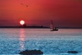 A really beautiful sunset with sailing boat