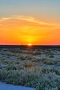 Beautiful sunset on salt lake Chott el Djerid, Sahara desert, Tu