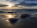 Beautiful sunset on the sandy beach of the Baltic Sea in Lietva, Klaipeda