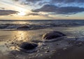 Beautiful sunset on the sandy beach of the Baltic Sea in Lietva, Klaipeda