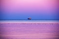 Beautiful sunset on the sea. Incredible sea view. Ship and birds in the sea