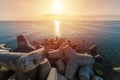 Beautiful sunset seascape. Breakwaters tetrapods ashore of pier. Cargo ships on the horizon. Travel dreams and motivation Royalty Free Stock Photo