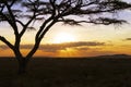 Beautiful sunset in Serengeti Africa Royalty Free Stock Photo