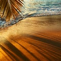 Beautiful sunset at Seychelles beach with palm tree shadow Royalty Free Stock Photo
