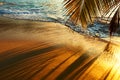 Beautiful sunset at Seychelles beach with palm tree shadow Royalty Free Stock Photo