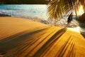 Beautiful sunset at Seychelles beach with palm tree shadow Royalty Free Stock Photo