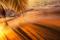 Beautiful sunset at Seychelles beach with palm tree shadow Royalty Free Stock Photo