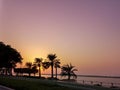Beautiful sunset silhouette photo of palm trees - orange and purple sky Royalty Free Stock Photo