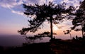 Beautiful sunset with silhouette traveler and pine tree at Lom S