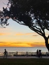 beautiful sunset with silhouette tree and people Royalty Free Stock Photo