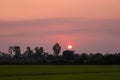 Beautiful sunset and sky background over the rice fields in the evening holiday in the countryside of Thailand. Royalty Free Stock Photo