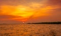 Beautiful sunset sky and clouds over the sea. Bird flying near abundance mangrove forest. Mangrove ecosystem. Good environment. Royalty Free Stock Photo