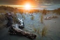 Beautiful sunset sky at hokitika sea beach south island new zeal